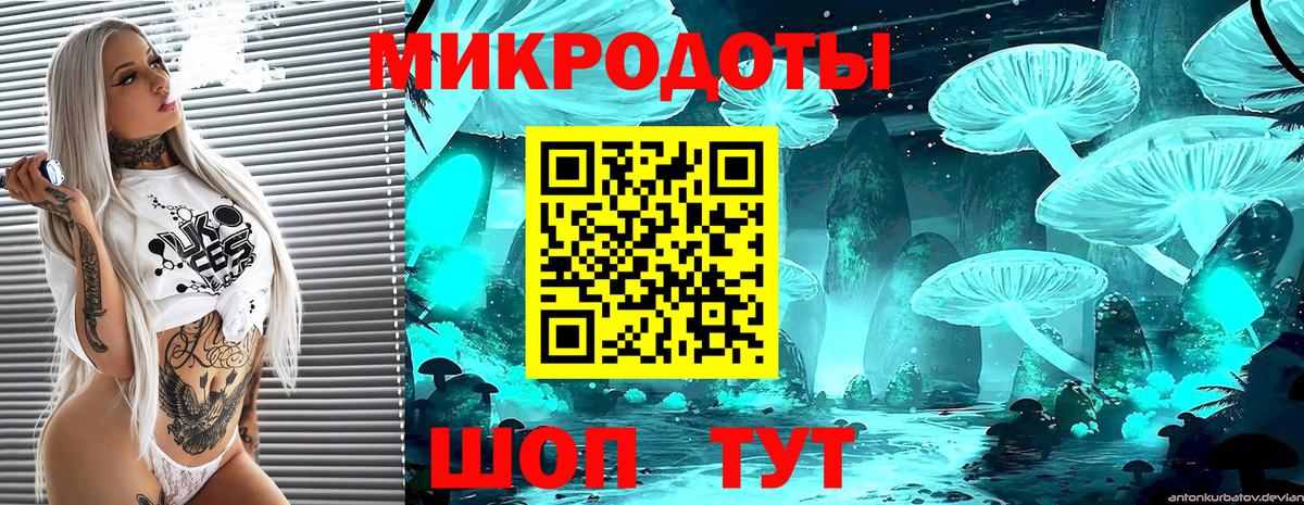 Галлюциногенные грибы GOLDEN TEACHER  как найти   Вход с VPN  Морозовск  Псилоцибиновые грибы GOLDEN TEACHER 