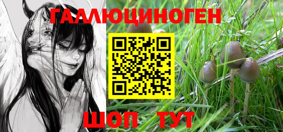 Псилоцибиновые грибы MAGIC MUSHROOMS Морозовск